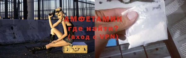 ГАЛЛЮЦИНОГЕННЫЕ ГРИБЫ Горняк